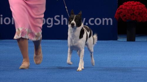 自主研发,不断创新